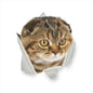 3D Cat & Dog Toilet Stickers