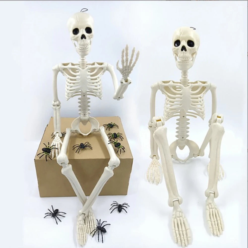 40cm Posable Halloween Skeleton Decoration