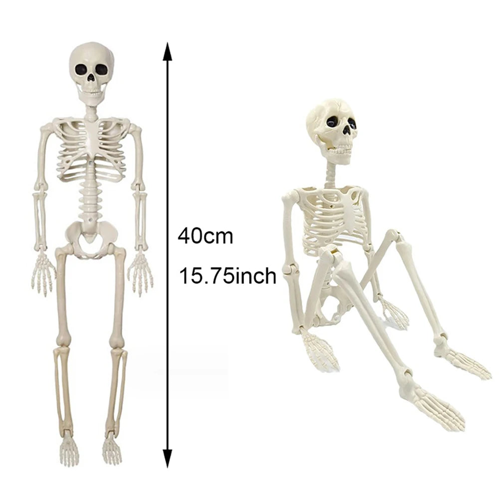 40cm Posable Halloween Skeleton Decoration