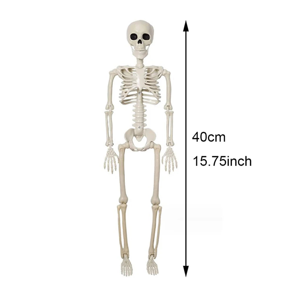 40cm Posable Halloween Skeleton Decoration