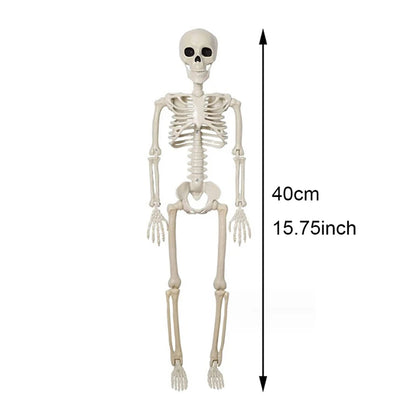 40cm Posable Halloween Skeleton Decoration