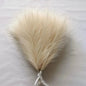 42cm Boho Artificial Pampas Grass