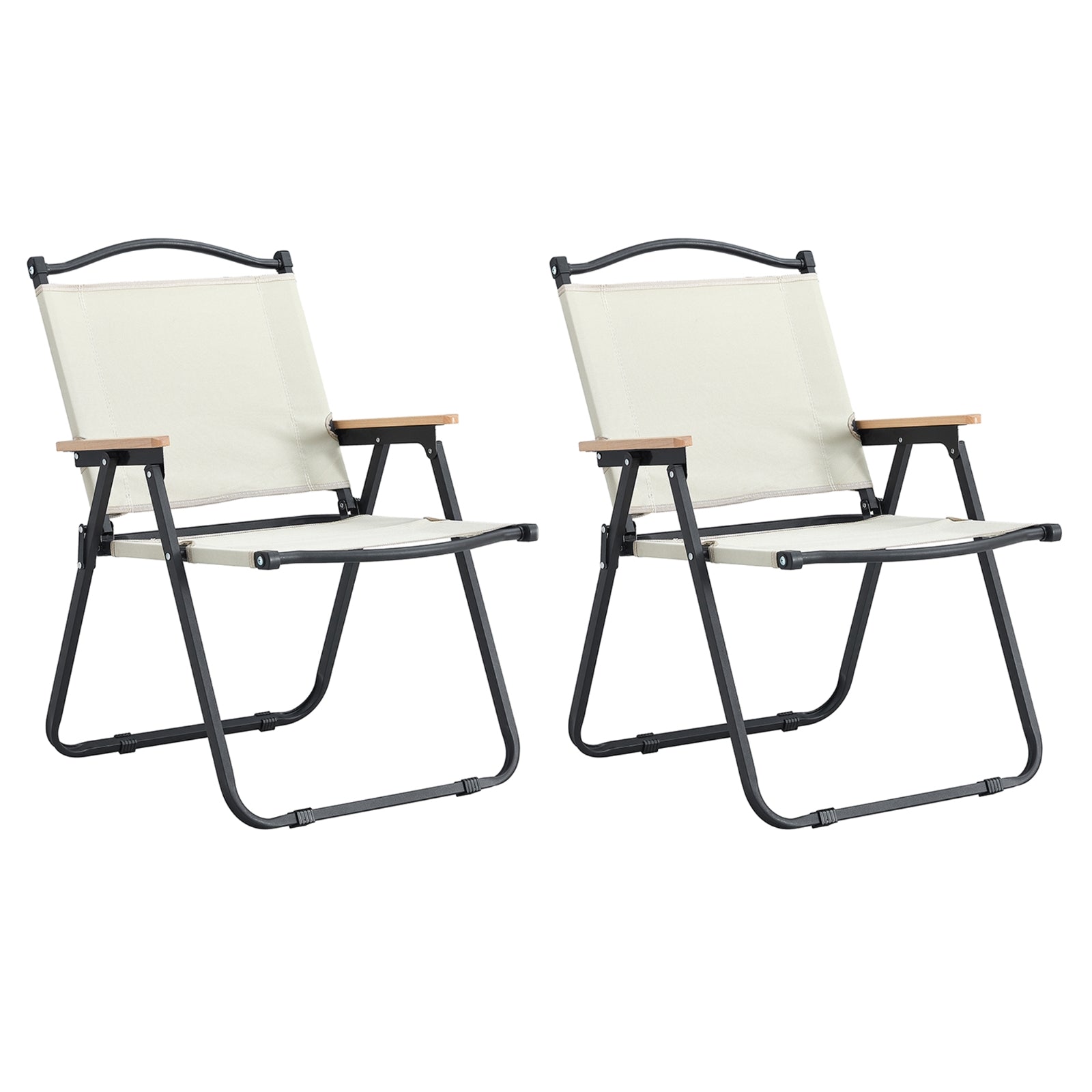 Blue Folding Beach Chair
