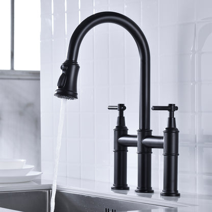 Pull Down Dual Handle Kitchen Faucet