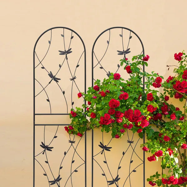 Black Metal Plant Trellis
