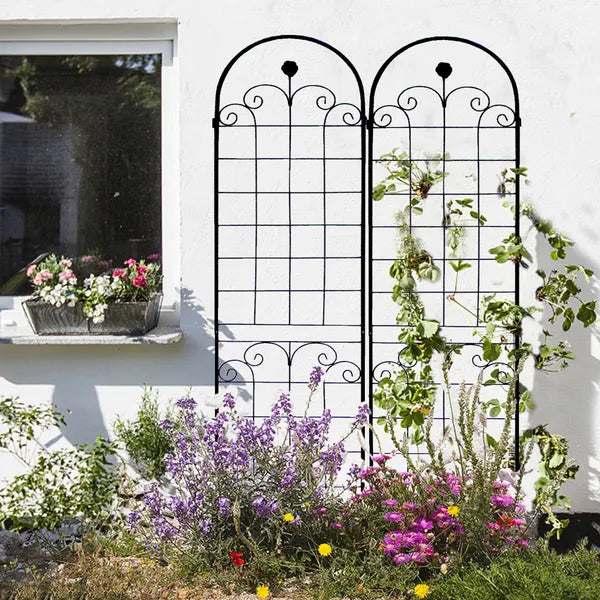 Elegant Metal Garden Trellis