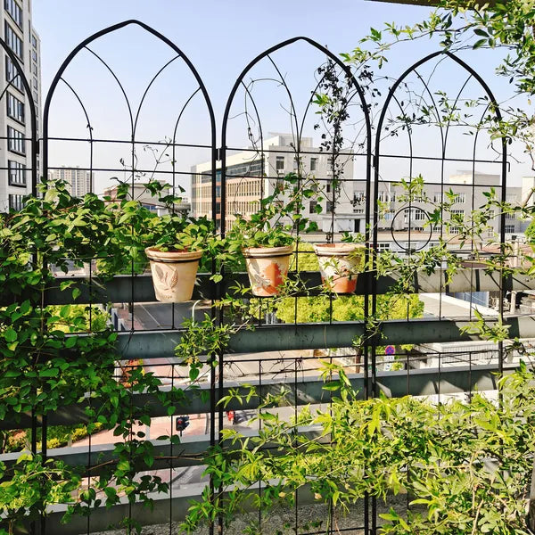 Tall Metal Garden Trellis