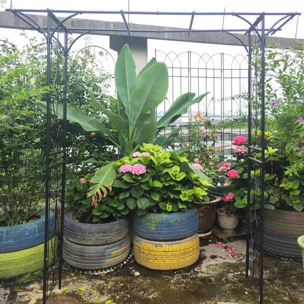 Metal Garden Arch L80.3'' X W20.47'' X H81.1'' Climbing Plants Support Rose Arch Outdoor Black