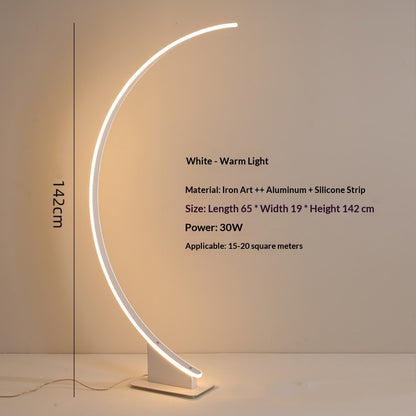 Nordic Creative Simple Curved Line Floor Lamp