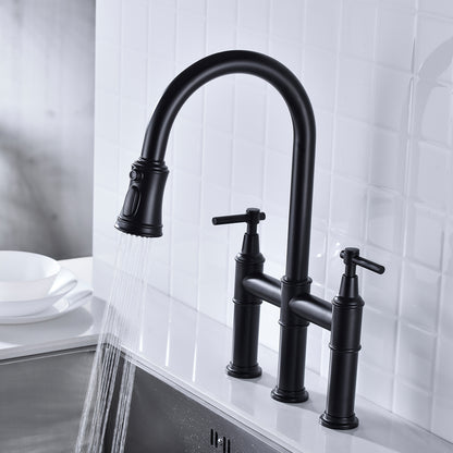 Pull Down Dual Handle Kitchen Faucet