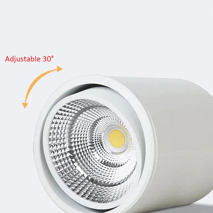 Adjustable Rotating LED Ceiling Lamp