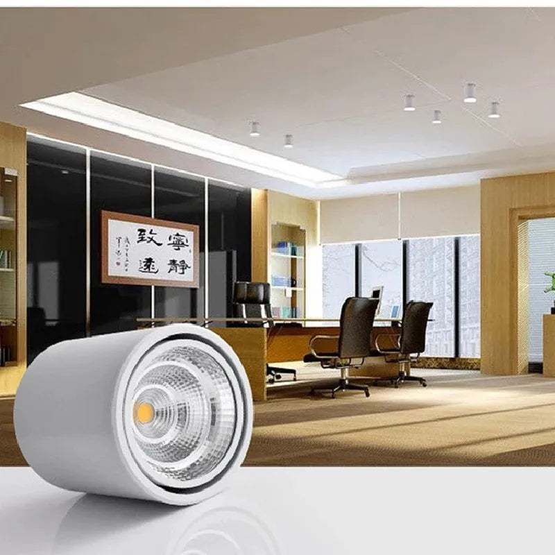 Adjustable Rotating LED Ceiling Lamp