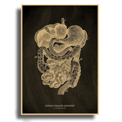 Anatomical Skeleton Kraft Paper Poster