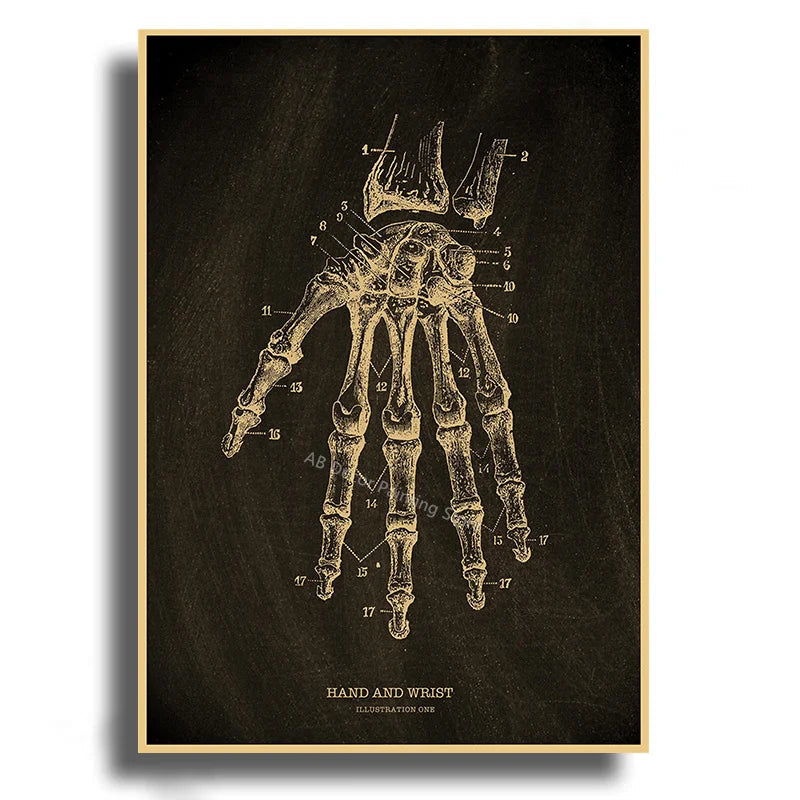 Anatomical Skeleton Kraft Paper Poster