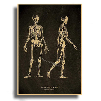 Anatomical Skeleton Kraft Paper Poster