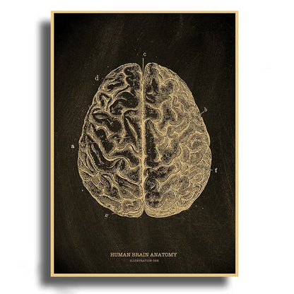 Anatomical Skeleton Kraft Paper Poster