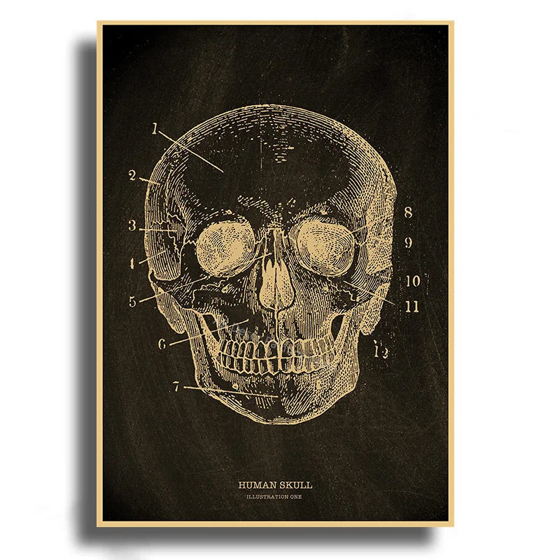 Anatomical Skeleton Kraft Paper Poster