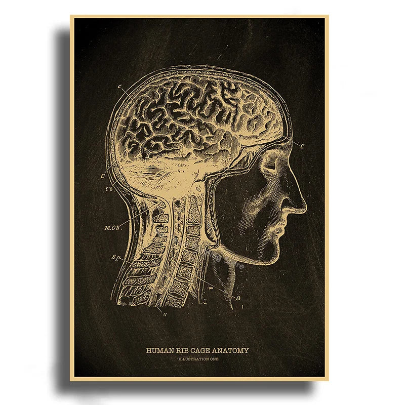 Anatomical Skeleton Kraft Paper Poster