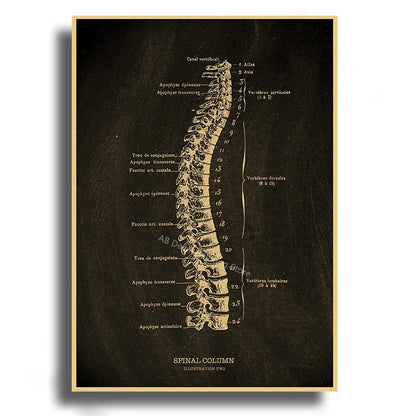 Anatomical Skeleton Kraft Paper Poster