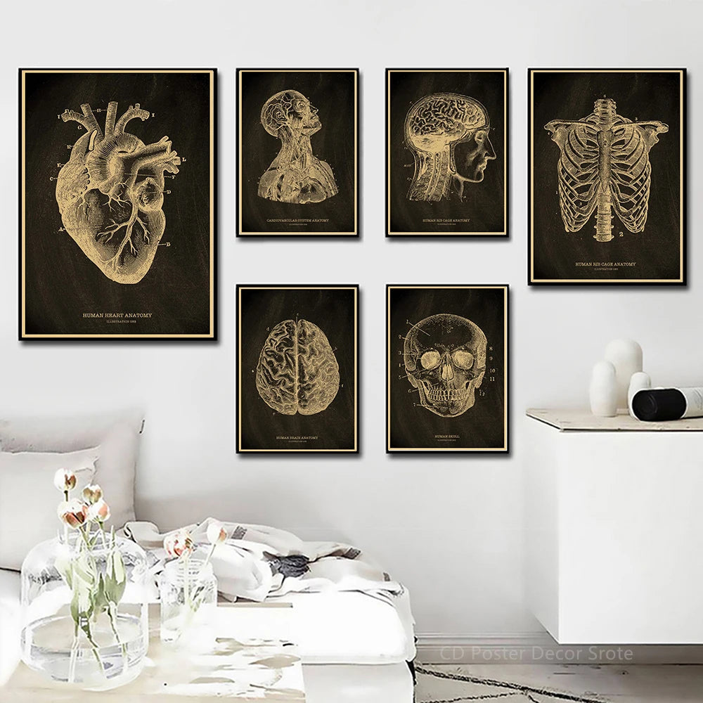 Anatomical Skeleton Kraft Paper Poster