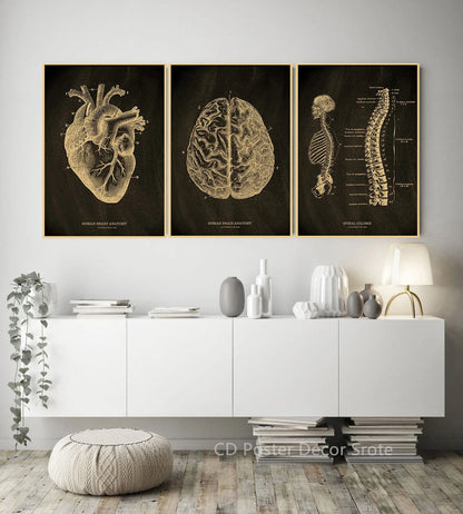 Anatomical Skeleton Kraft Paper Poster