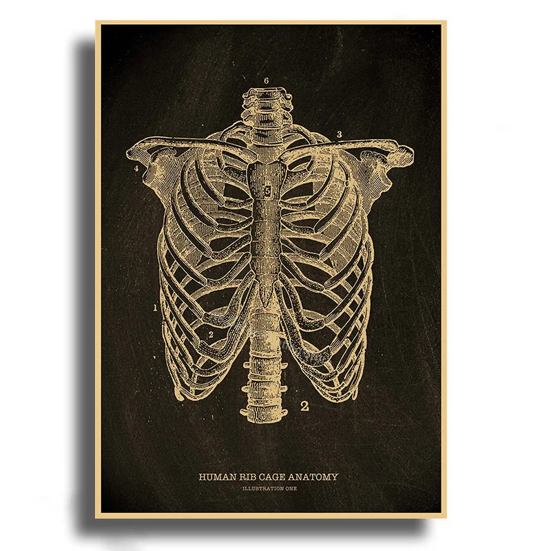 Anatomical Skeleton Kraft Paper Poster