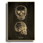 Anatomical Skeleton Kraft Paper Poster