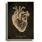 Anatomical Skeleton Kraft Paper Poster