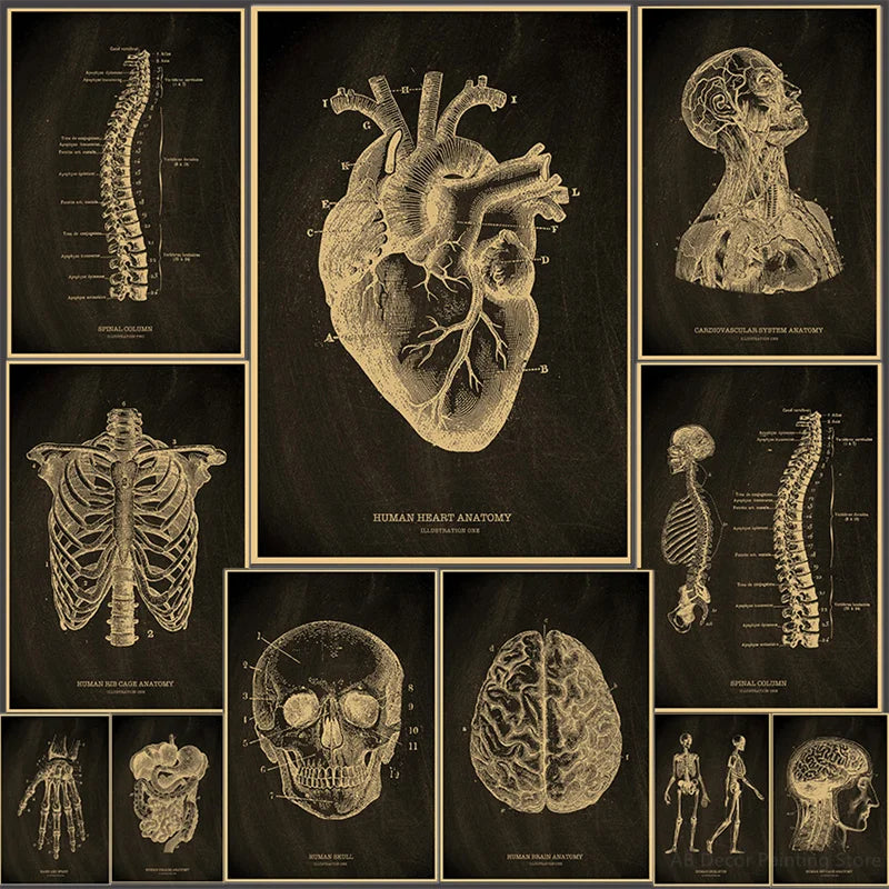 Anatomical Skeleton Kraft Paper Poster