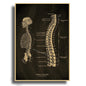 Anatomical Vintage Kraft Paper Poster