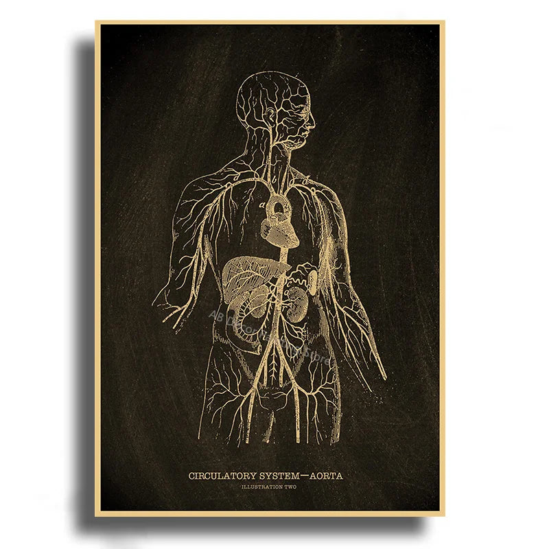 Anatomical Vintage Kraft Paper Poster