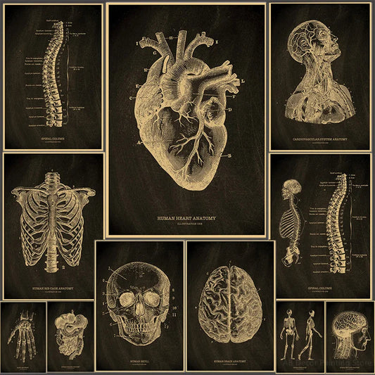 Anatomical Vintage Kraft Paper Poster