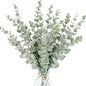 Artificial Eucalyptus Stems for Decoration