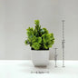 Bonsai Artificial Plant for Desktop