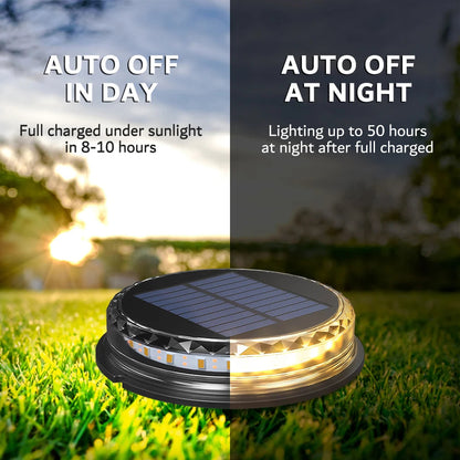 Bright LED Solar Pathway Lights