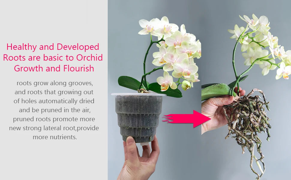 Clear Plastic Orchid Pot 12 cm