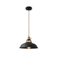 Colorful Retro Industrial Pendant Light