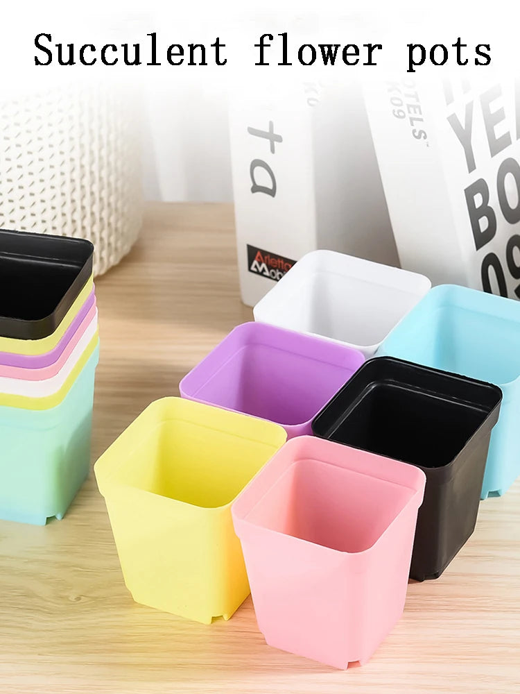 Colourful Mini Square Plastic Pots