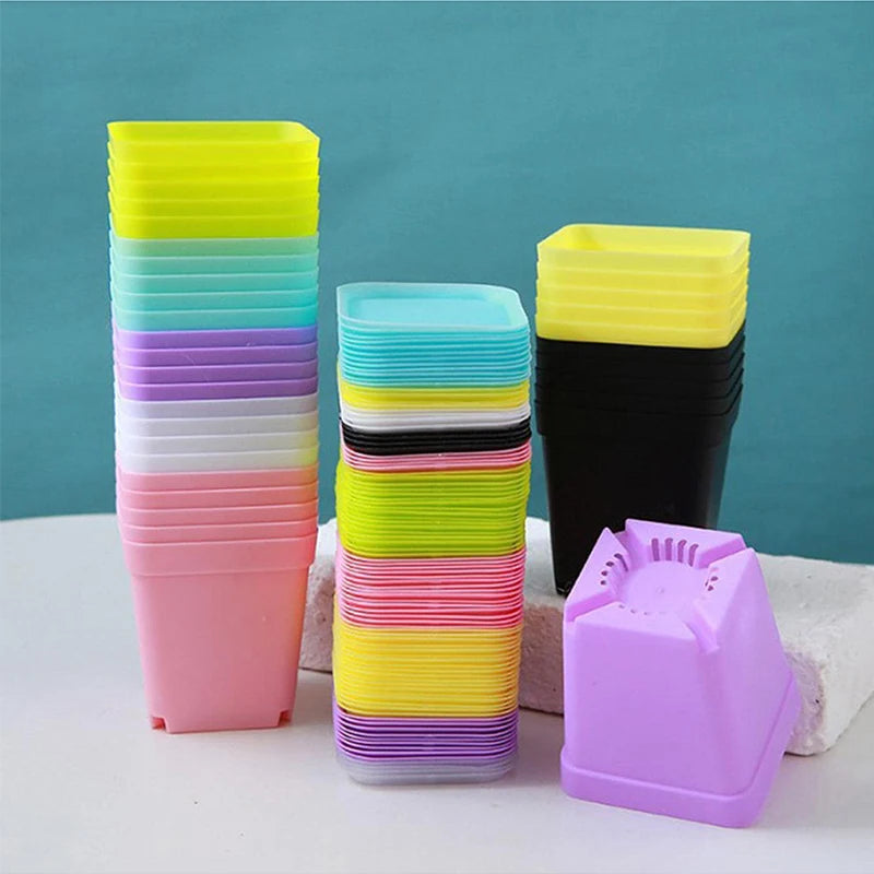 Colourful Mini Square Plastic Pots