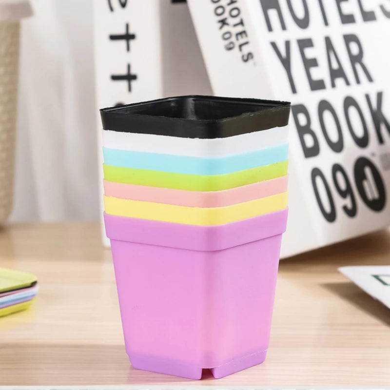 Colourful Mini Square Plastic Pots