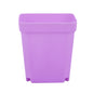 Colourful Mini Square Plastic Pots