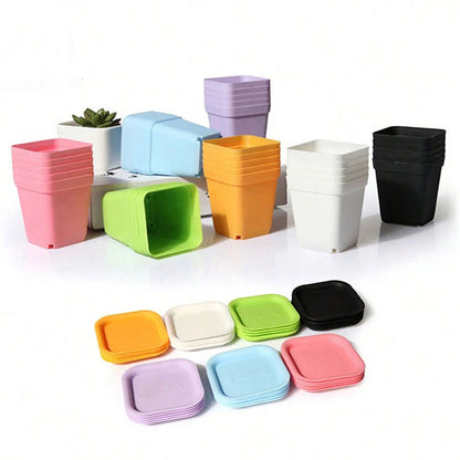 Colourful Mini Square Plastic Pots