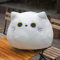 Cute 8cm Black Cat Plush Pillow