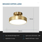 DARHYNL Rotatable LED Ceiling Light