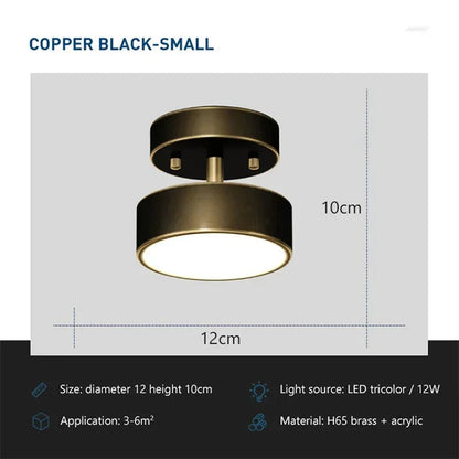 DARHYNL Rotatable LED Ceiling Light