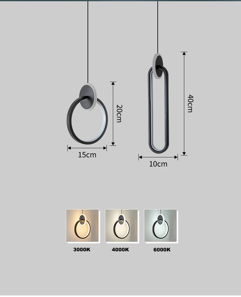 DUTRIEUX Black Aluminum Pendant Light