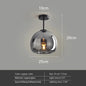 Dark Grey Glass LED Ceiling Light