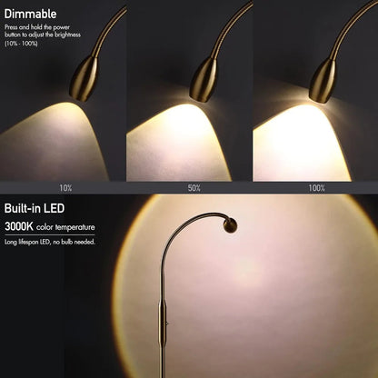 Dimmable Adjustable LED Floor Lamp