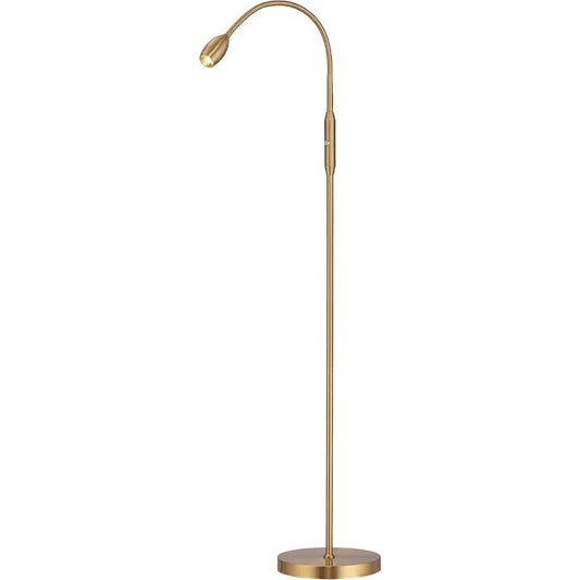 Dimmable Adjustable LED Floor Lamp