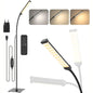 Dimmable LED Floor Lamp with Remote